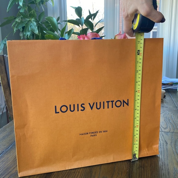 LOUIS VUITTON GIFT BAG - Picture 5 of 6